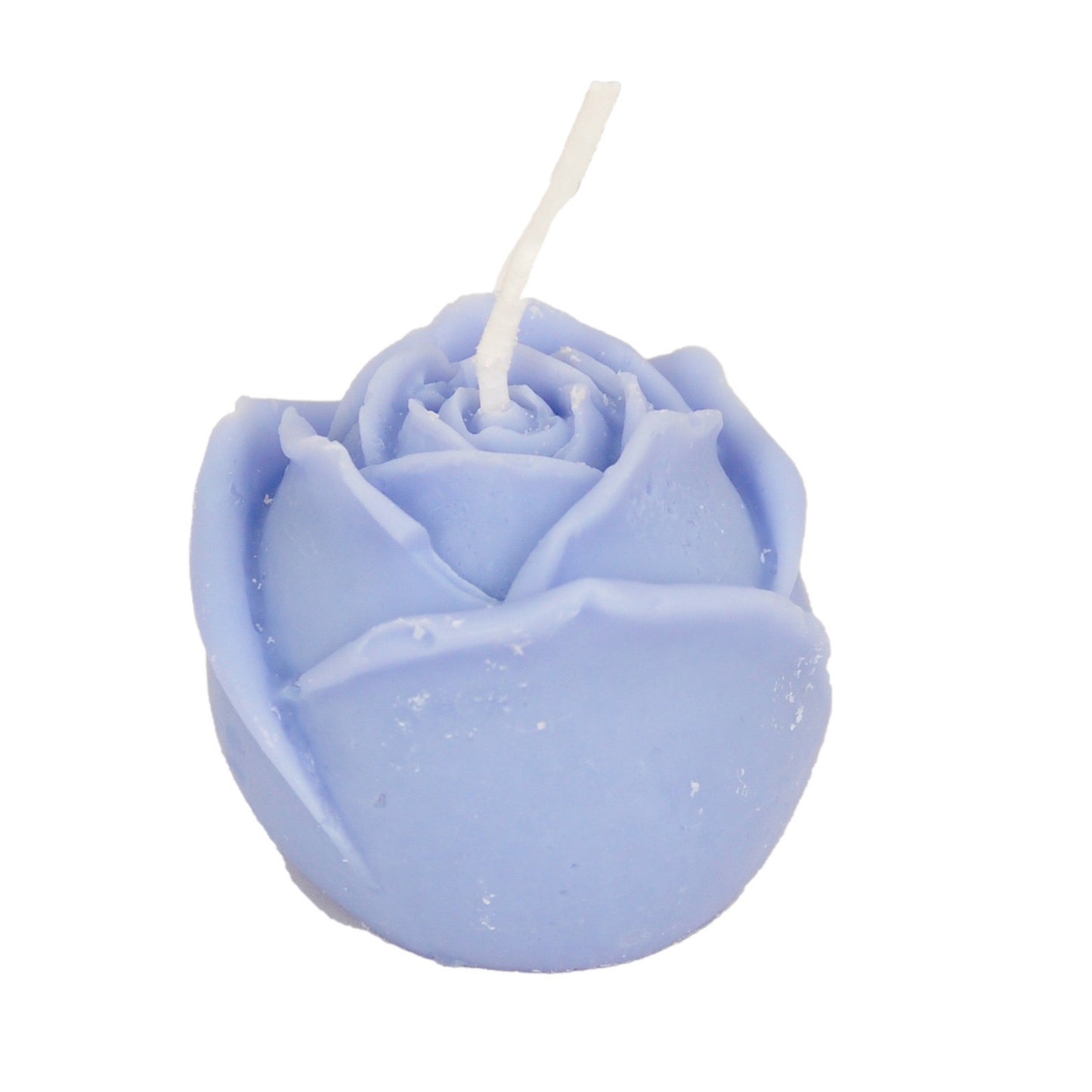 Damask rose