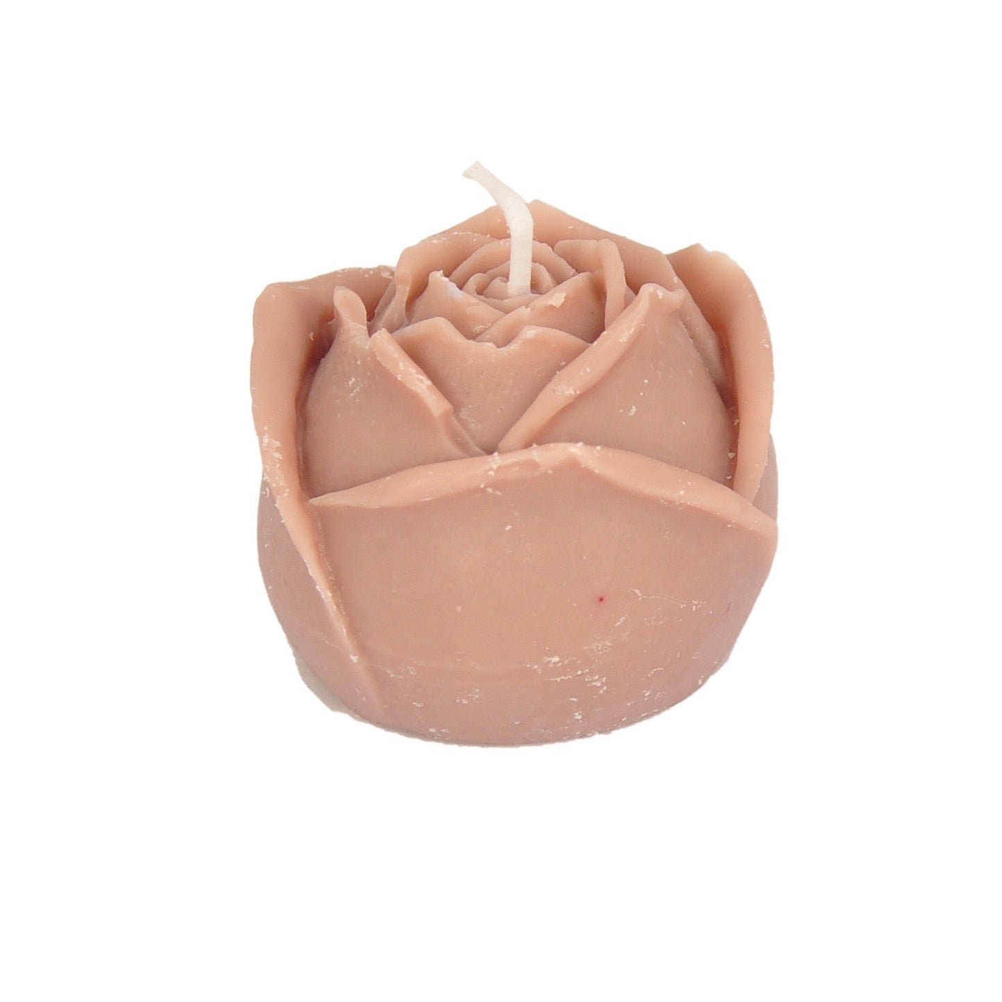 Damask rose