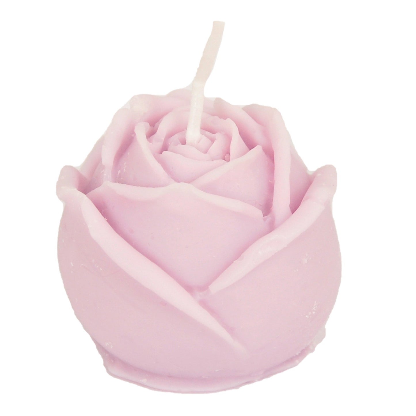Damask rose