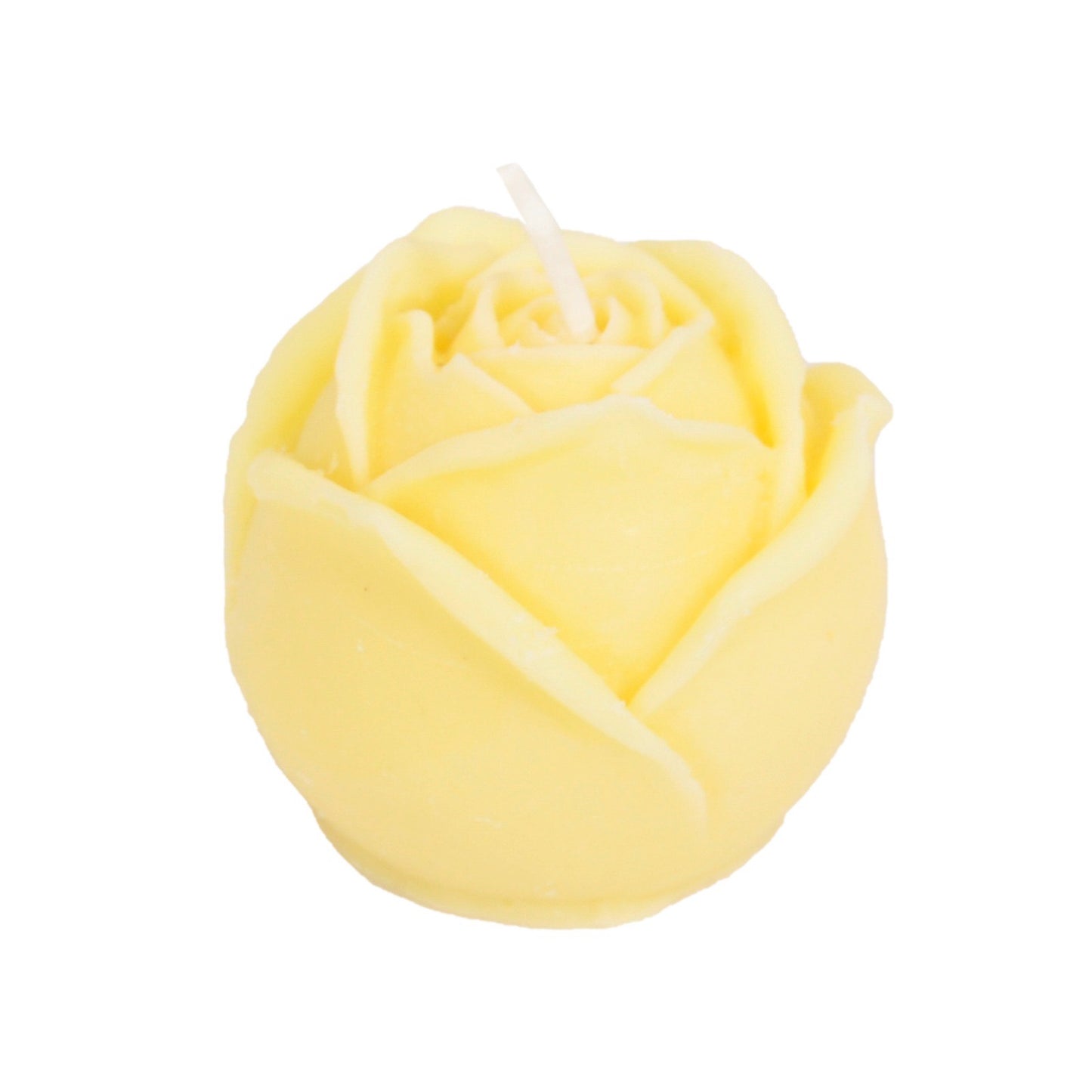 Damask rose
