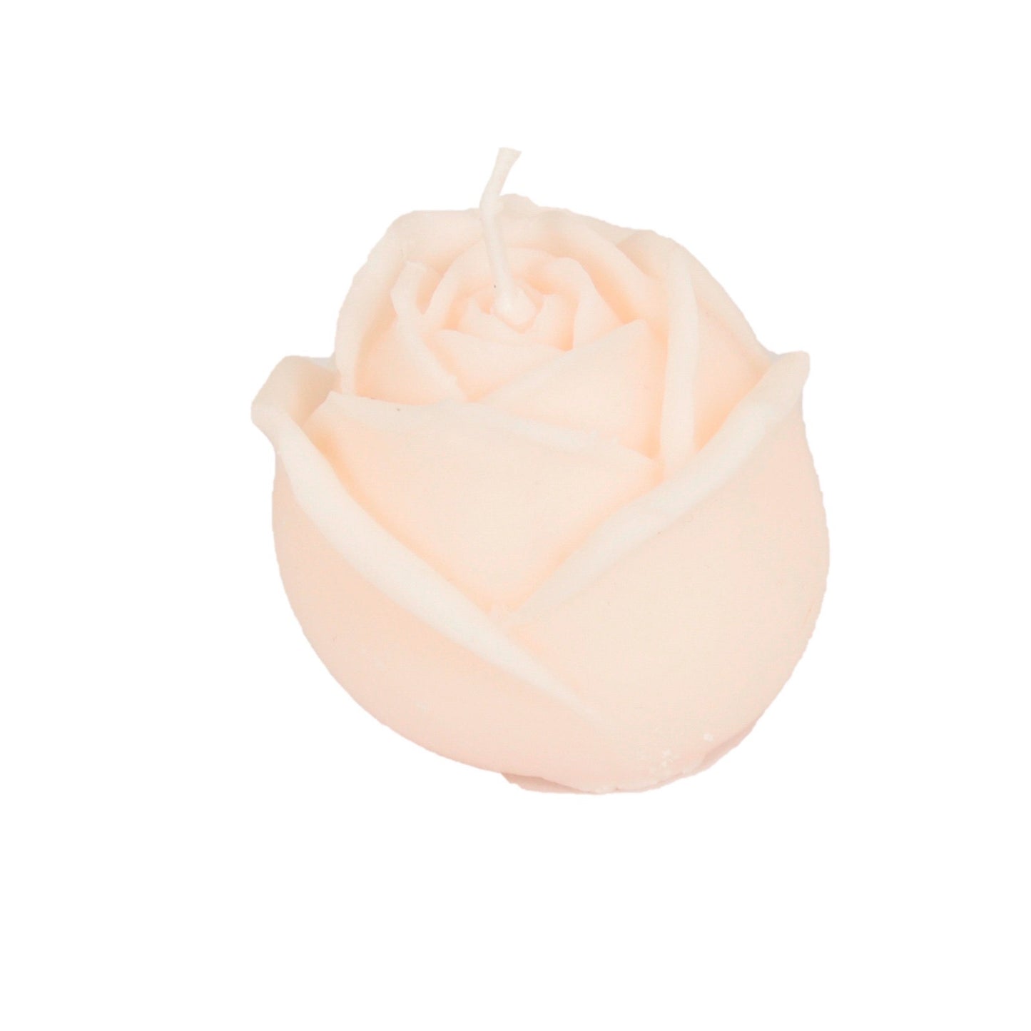 Damask rose